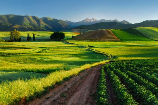 Landscape in La Rioja