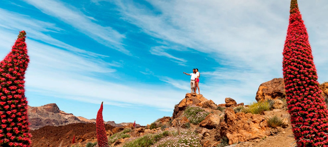 Parc national du Teide