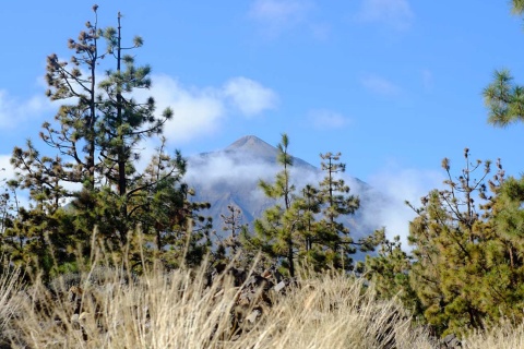 Vue du Teide