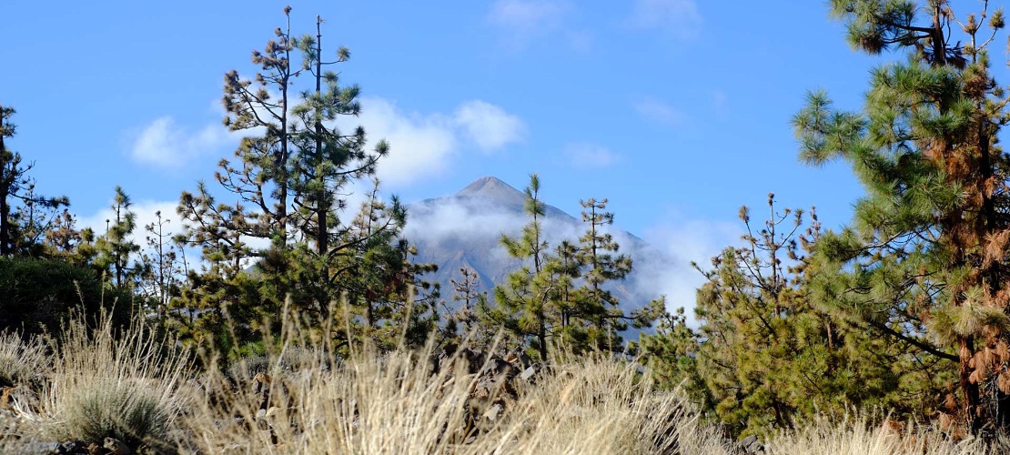 Ansicht des Teide