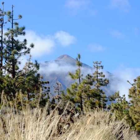 Ansicht des Teide