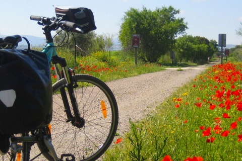 Vía verde, Bicicleta