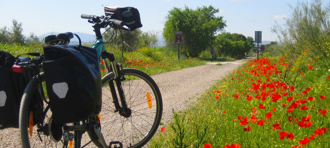 Grüner Weg, Fahrrad