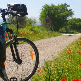 Via verde, Bicicletta