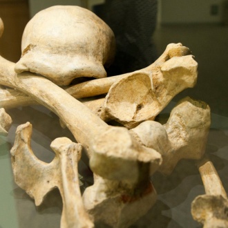 Neandertal-Ausstellung, Museum der Evolutionsgeschichte des Menschen, Burgos