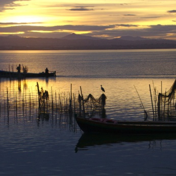 Albufera de Valence