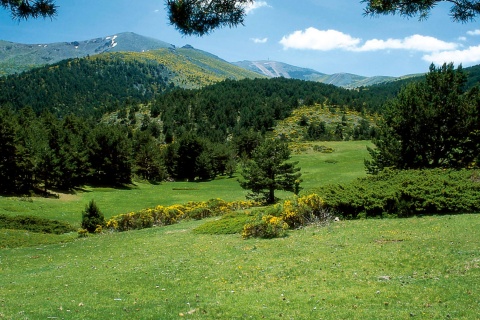 Parc naturel de la Cumbre, le Circo et les lagunes de Peñalara