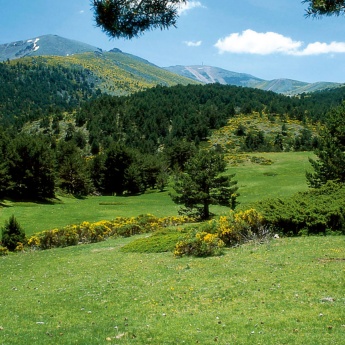 Obszar Chronionego Krajobrazu La Cumbre, El Circo y Las Lagunas de Peñalara