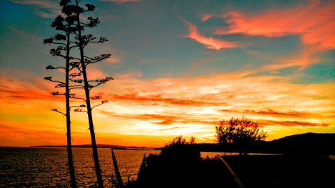 Tramonto a Palma di Maiorca