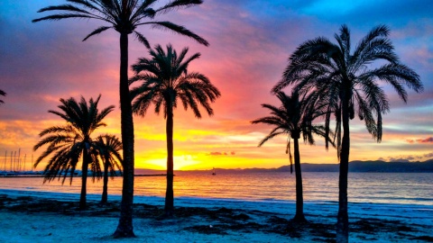 Sonnenuntergang am Strand von Mallorca