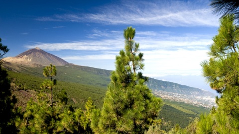 Aussichtspunkt von Chipeque, Teneriffa