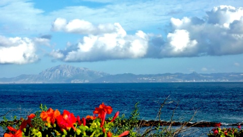 Mirante do Estreito, Cádis