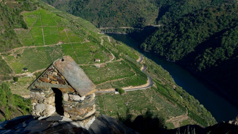 Vineyards at Cañon del Sil. Ribeira Sacra, Lugo