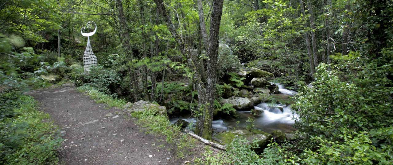 Bosque con una escultura de la cola de una sirena