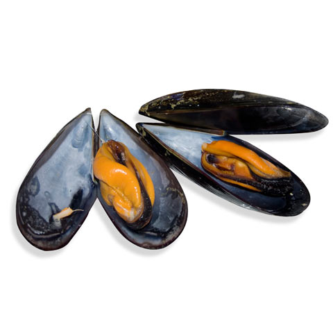 Moules