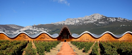 Bodegas Ysios