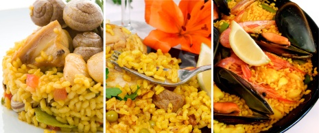 Different types of Spanish paella