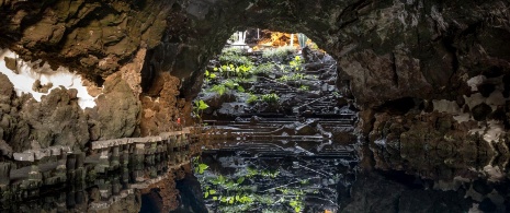 Podziemne jezioro w Jameos del Agua, Lanzarote