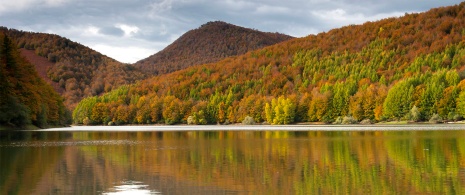 Represa Irabia na Selva de Irati, Navarra