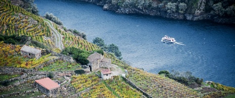 Trasa rejsu katamaranem po Ribeira Sacra