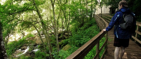 Trasa wzdłuż rzeki Mao w Ribeira Sacra