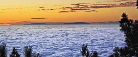 Sea of clouds