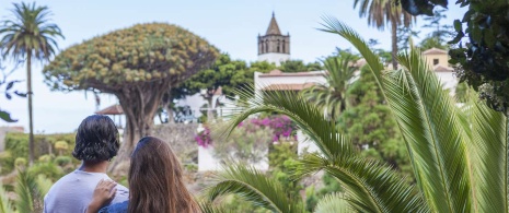 Couple looking at the Dragon Tree, Icod de los Vinos