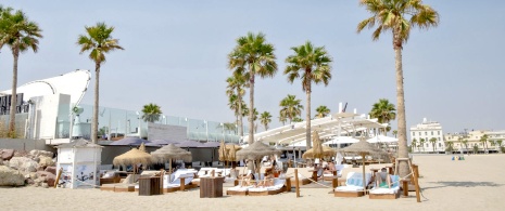 Terrace on the beach, Marina Beach Club Valencia