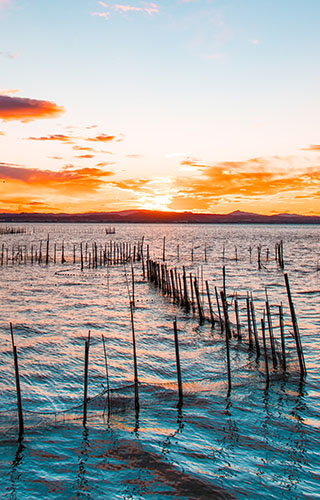 Albufera in Valencia