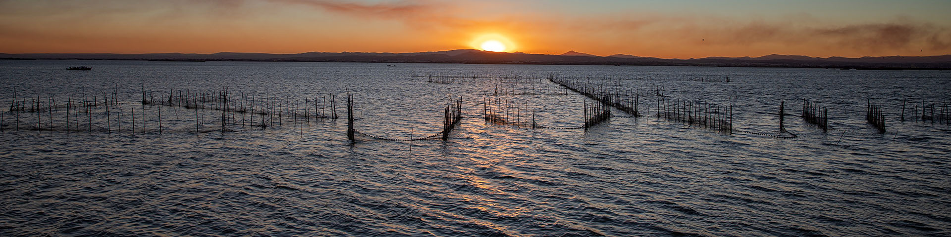 Albufera in Valencia