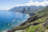 Coast of Tenerife