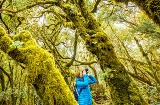 Parque Nacional de Garajonay