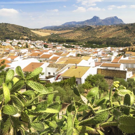 Panoramablick auf Algodonales (Cádiz, Andalusien)