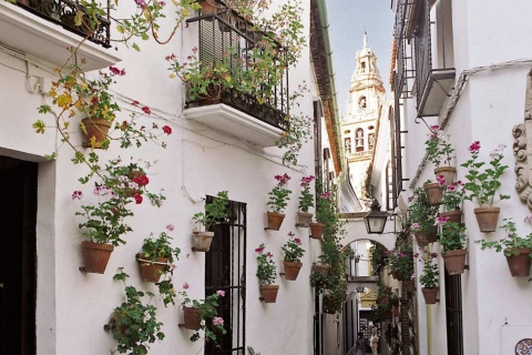Vicolo de las Flores