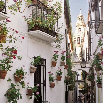 Calleja de las Flores