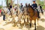 Foire du cheval de Jerez de la Frontera, dans la province de Cadix (Andalousie)