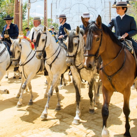 Foire du cheval de Jerez de la Frontera, dans la province de Cadix (Andalousie)