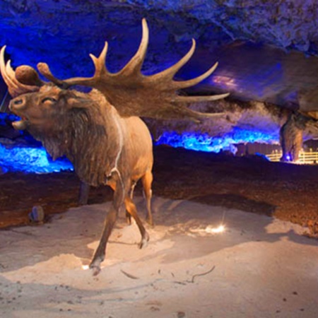 Cuevona de Avín. Astúrias.