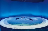 Курорт Balneario de Puente Viesgo