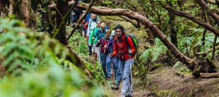 Senderismo en bosque de laurisilva