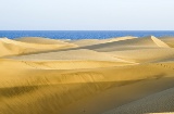 Maspalomas beach in Gran Canaria (Canary Islands)