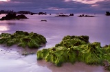 Plage de Trengandín à Noja (Cantabrie)