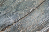Siega Verde Rock Art. Salamanca