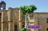 Nuestra Señora de la Asunción Main Church