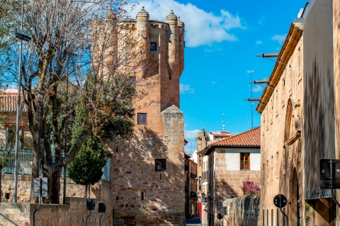 Torre del Clavero Tower
