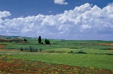 Fields in La Almarcha. Cuenca