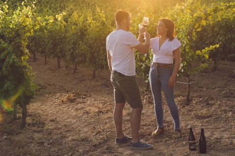 Turistas en viñedos de la Ruta del Vino Almansa