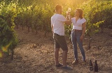 Touristes dans les vignobles de la Route des Vins d’Almansa