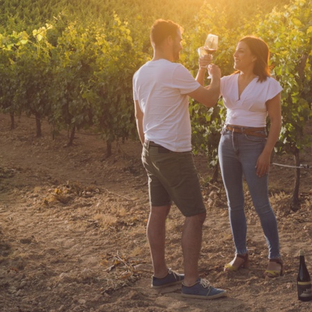 Tourists in the vineyards of the Almansa Wine Route