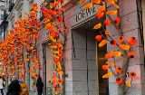 Calle Serrano in Madrid